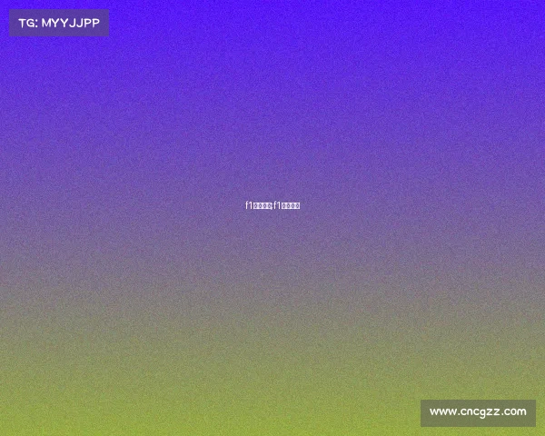 f1赛事方案;f1赛事流程