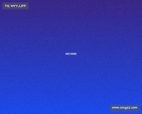 女排第2轮赛事直播