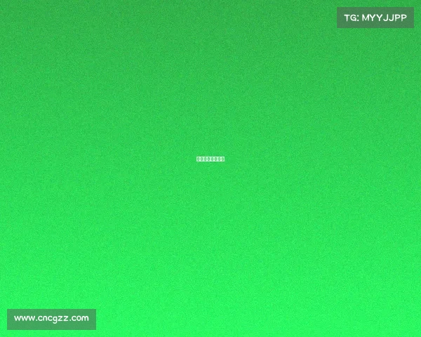 四指职业选手键位