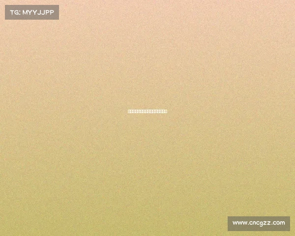 贴身风暴：跆拳道电技近战制胜法则